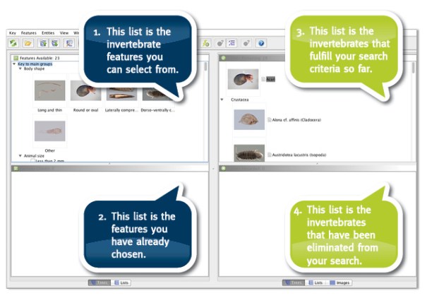 Lucid_screenshot_1_620pxWide