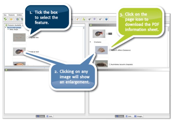 Lucid_screenshot_2_620pxWide